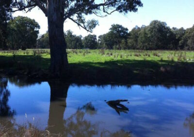 Bunyip Hollow Lagoon