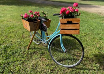 Cookinburra Peonies Bicycle Boxes