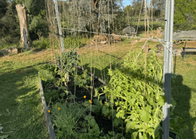 Yarramanda Farm Garden